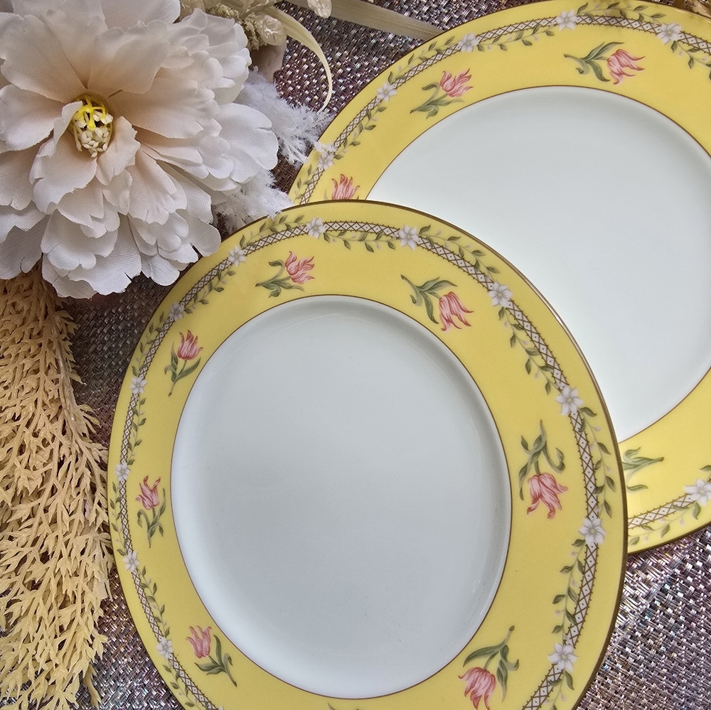 Authentic Tiffany & Co. Plates